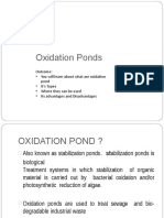 Oxidationpond - 14 04 2020