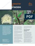 Fall Armyworm: Sugarcane Industry Response To