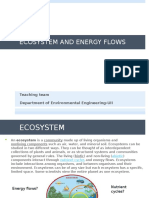 Ecosystem and Energy Flows: Teaching Team Department of Environmental Engineering-UII