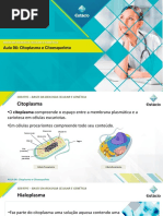 AULA 6 - Citoplasma