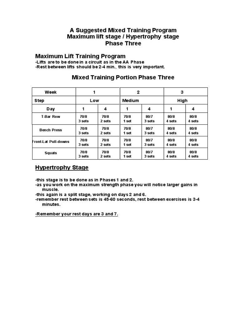 Phase 3 Mixed Training Program | PDF