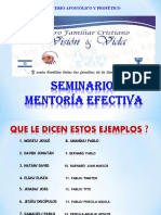 Mentoría Efectiva