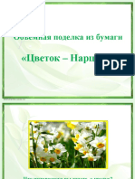 Нарцисс