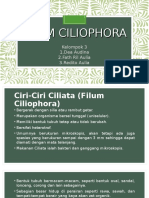 CILIOPHORA-MORFOLOGI