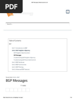 10.BGP Messages