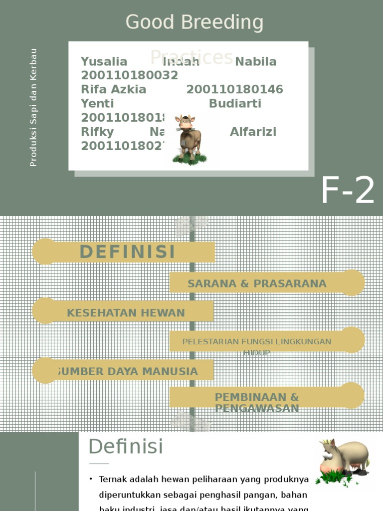Praktik Pembibitan Sapi Potong Baik | PDF