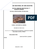 Practica Nº10 Determinación de Géneros y Especies de Reptiles Escamados Saurios y Ofidios