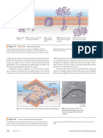 Figure 5-7 Membrane Proteins: Animated