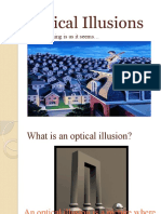 Optical Illusions