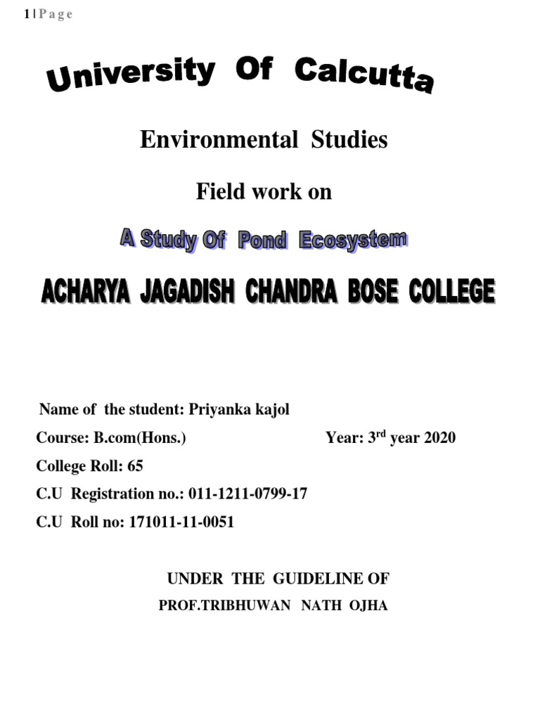 Pond Ecosystem | PDF | Pond | Aquatic Ecosystem