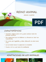 Reino Animal, Grado