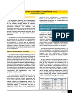 Lectura - Impacto de La Remuneración Mínima Vitalm4 DERLA PDF