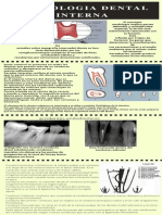 Morfoloia Dental Interna PDF