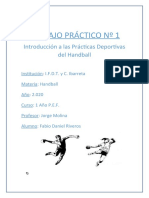 Práctico de HandballFabio Riveros