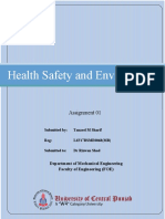 Health Safety and Environment: Assignment 01