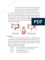 LP INVAGINASI.docx