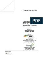 Cerfo Optimisation Coûts PDF
