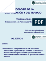 Psicología de La Organización Y Del Trabajo