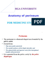 Jigjiga University: Anatomy of Perineum