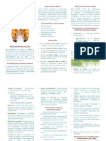 Comite de Convivencia Laboral - Folleto - La Equidad