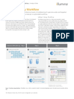 Infinium Assay Workflow