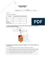 Prueba de Diagnóstico