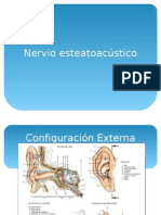 Nervio vestibular: anatomía y fisiología