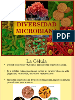 Microbichos PDF