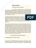 Derecho Probatorio I