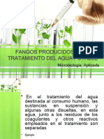 FANGOS-PRODUCIDOS-1 (1)