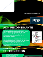Tecnologia-Del-Adn-Recombinante