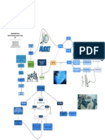 Mapa Mental Básico PDF