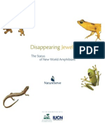 (BOOK) Disappearing Jewels: The Status of New World Amphibians