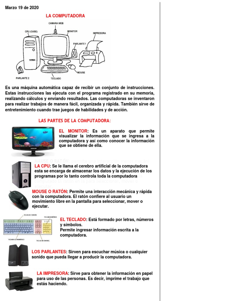 Partes de la Computadora para Niños | PDF | Informática | Tecnología