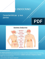 El Sistema Endocrino