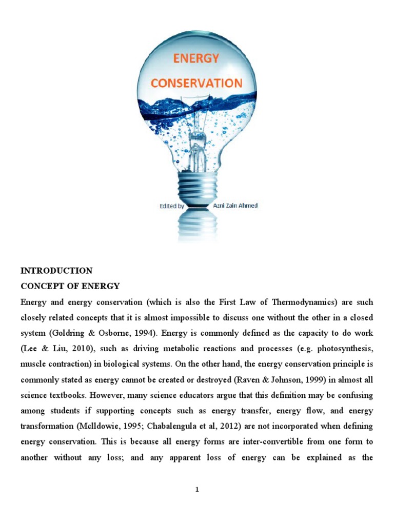 Understanding Energy Conservation Principles | PDF | Energy ...