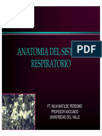 anatomiarespiratoria-100228192748-phpapp01.pdf