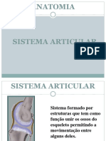 Anatomia das articulações e sistemas articulares