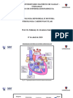 AULA_6_Fisiologia_Sensorial_Cardiovascular.pptx