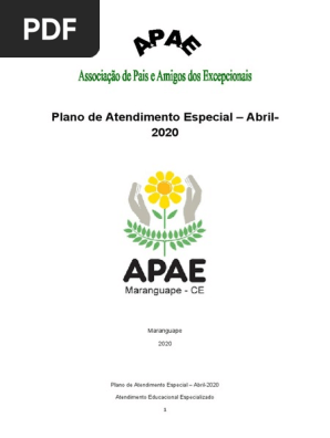 Plano de Atendimento Especial Ray 003