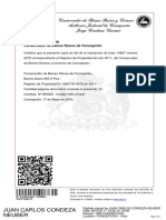 Copia Autorizada PDF