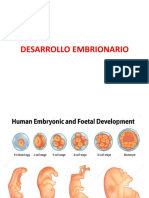 Desarrollo Embrionario 2018