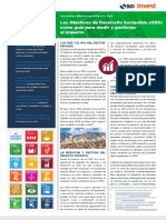 DEBrief SDGs SP.pdf