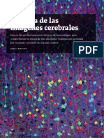 TO-READ Bareither, I. (2014) - Historia de Las Imágenes Cerebrales. Mente y Cerebro, 69 PDF