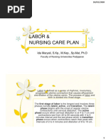 Labor Nursing Care Plans