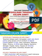 Pemuliaan Kelapa Sawit