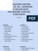 Bio Tugas PPT Sel, Jar, Organ