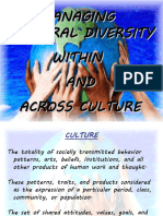 Managing Cultural Diversity Within AND Across Culture