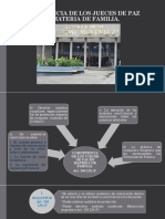 Competencia de Los Jueces de Paz en Familia