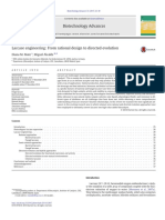 Evolución Dirigida.pdf